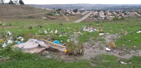 Sewerage spills from a municipal drain in Makhanda. Photo by Cameron McConnachie at the LRC.