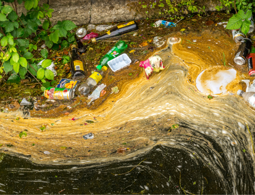 Advisory opinion: An opportunity for environmental justice action